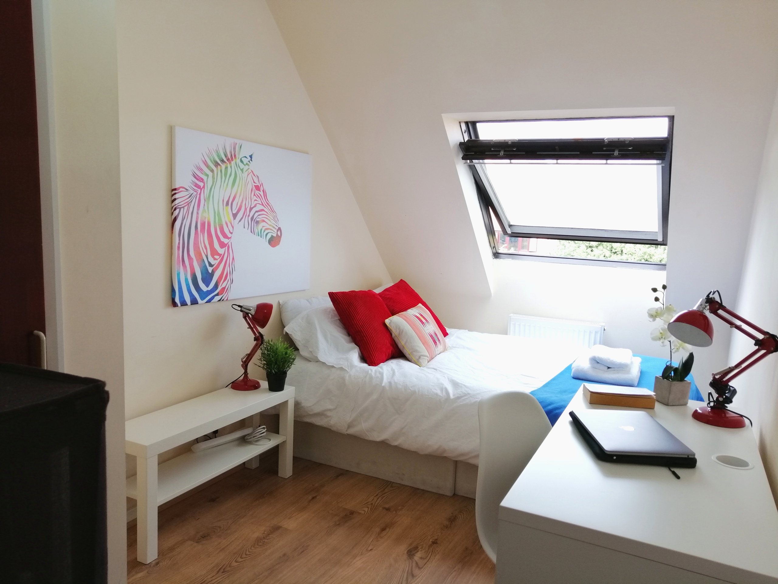 Room 5